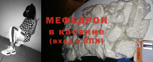 стаф Каменка