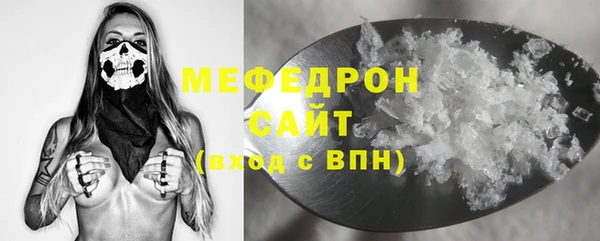 стаф Каменка