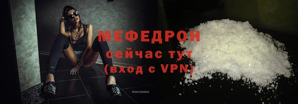 стаф Каменка