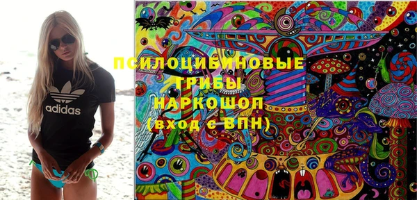 стаф Каменка