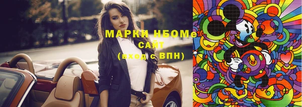 стаф Каменка