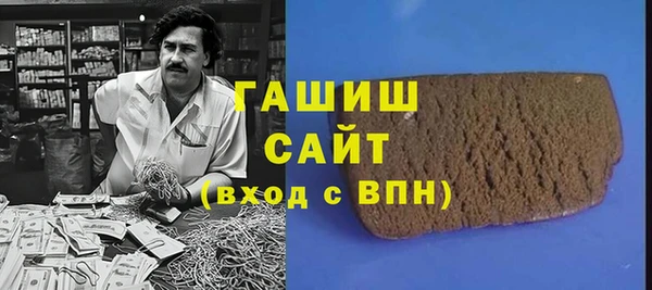 стаф Каменка