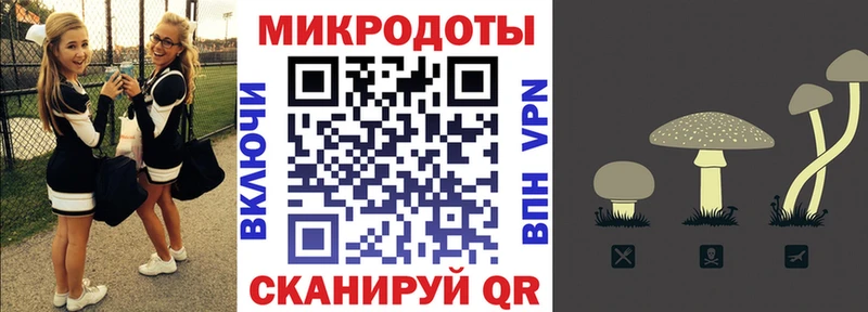 Купить  Гагарин  Псилоцибиновые грибы мицелий 